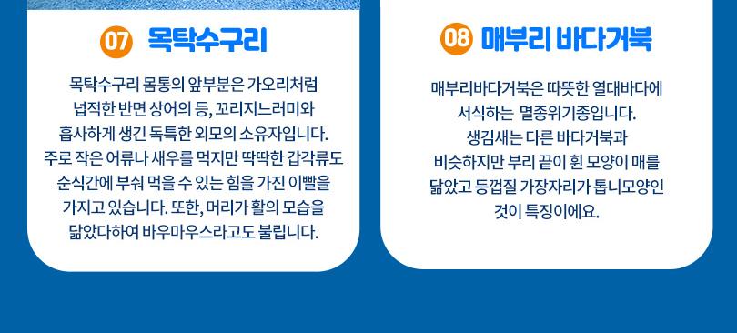 상품 상세 이미지 11