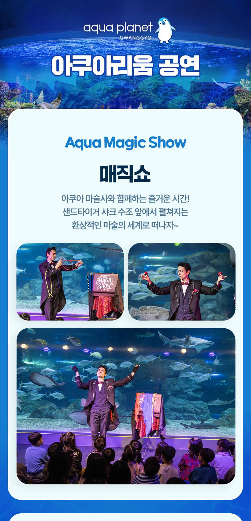 [광교] 아쿠아플라넷 입장권(11/1~11/30)