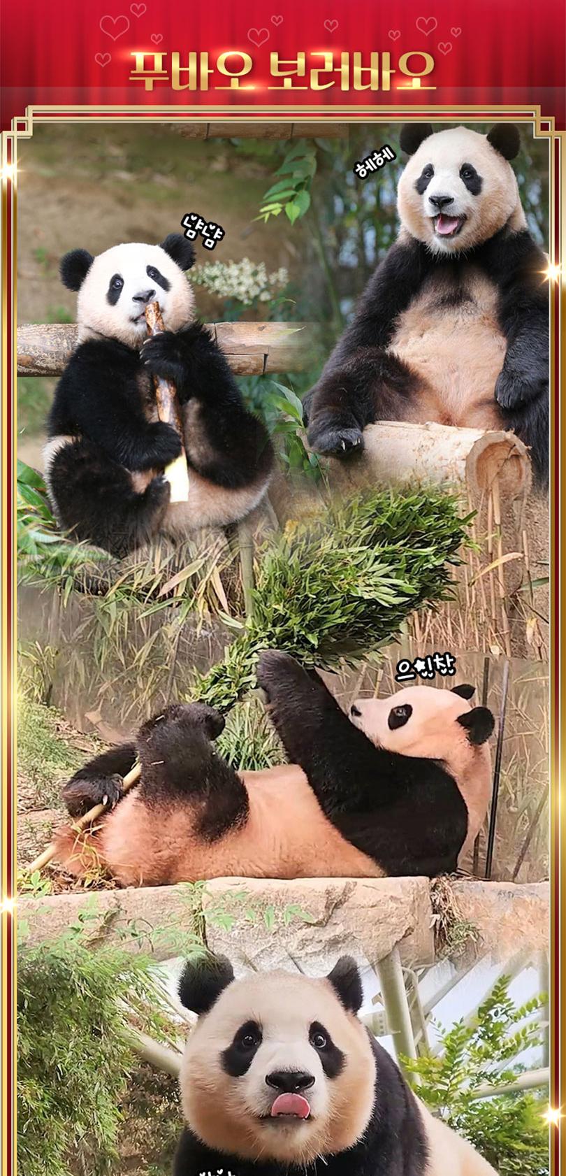 상품 상세 이미지 4