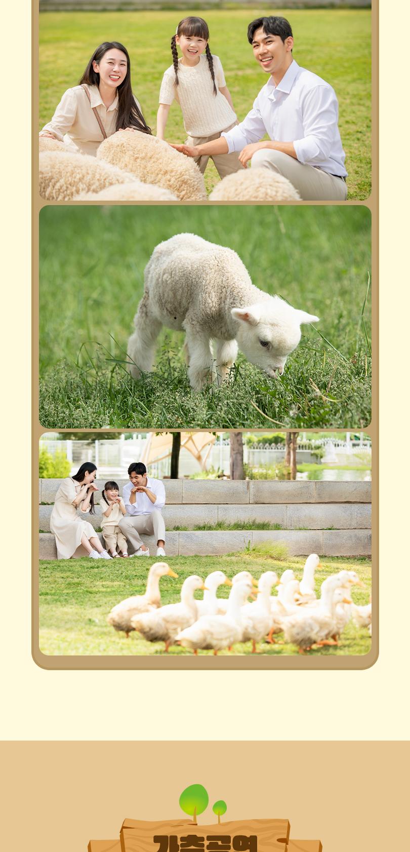 상품 상세 이미지 13