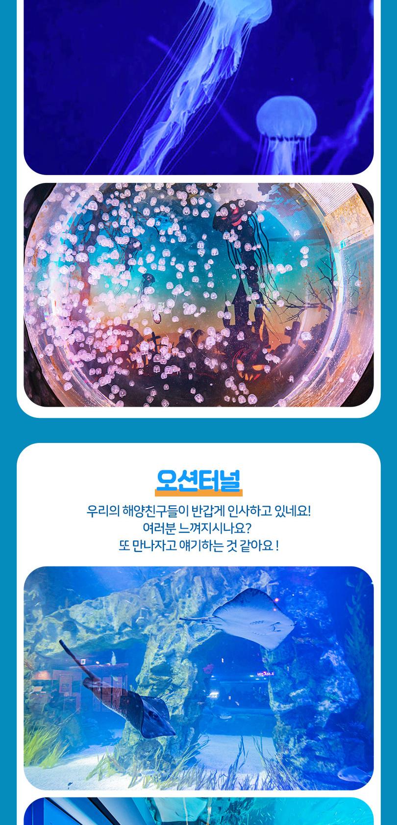 상품 상세 이미지 13