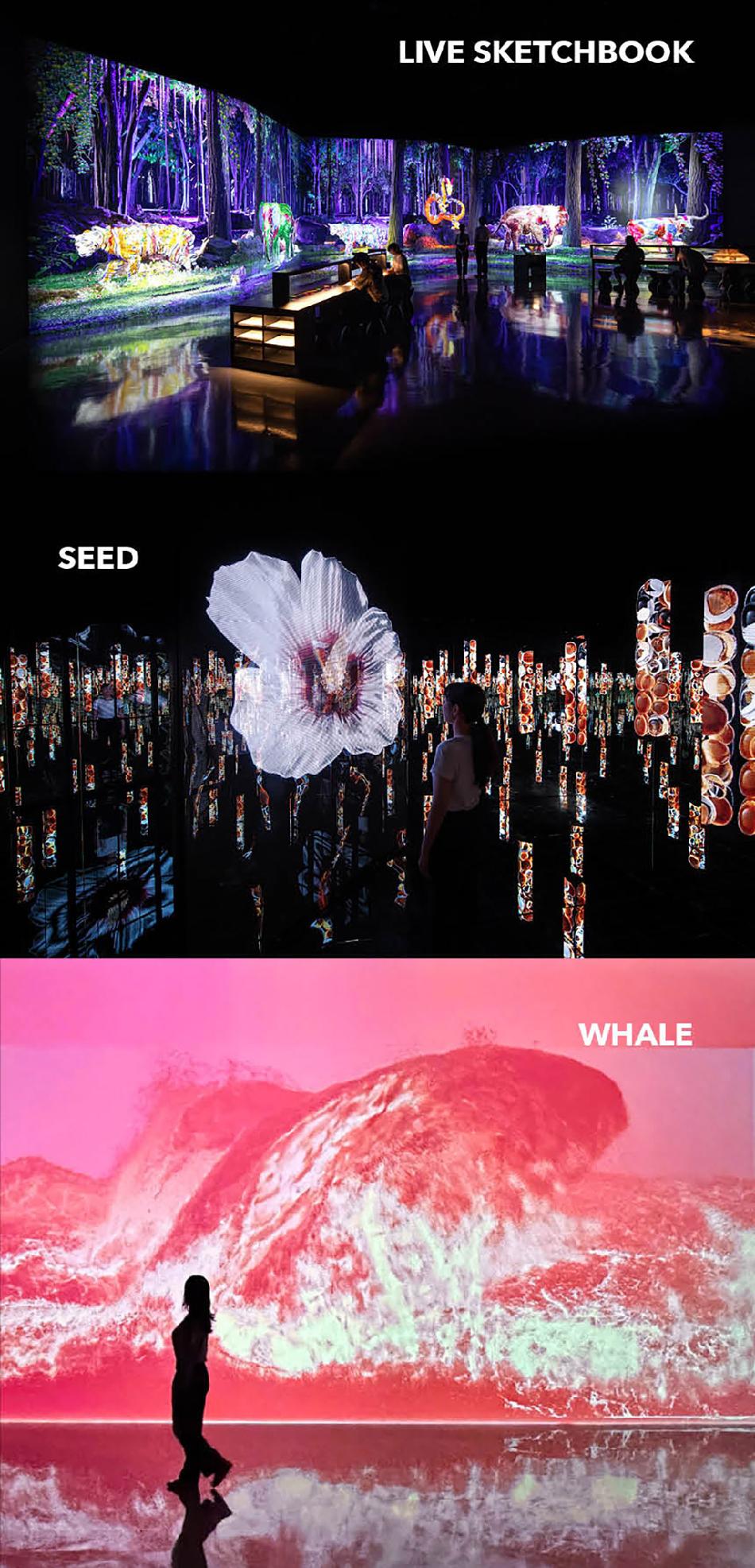 상품 상세 이미지 15