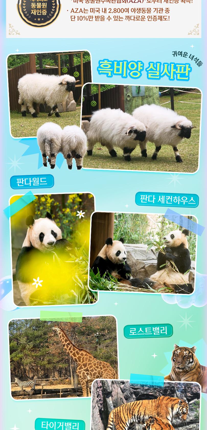 상품 상세 이미지 14