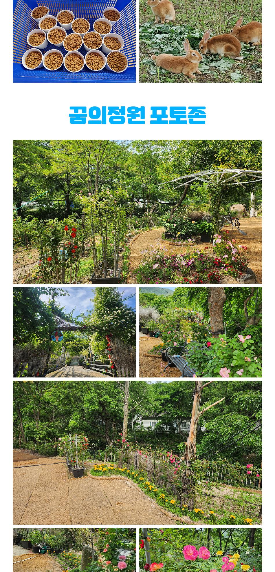 상품 상세 이미지 14
