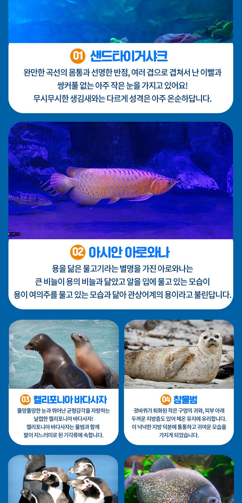 롯데월드 아쿠아리움&서울스카이 입장권