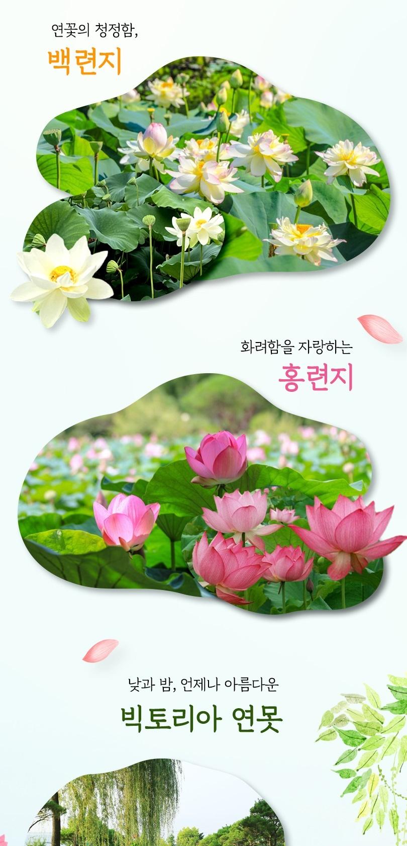 상품 상세 이미지 5