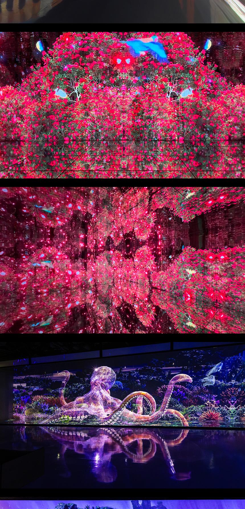 상품 상세 이미지 8