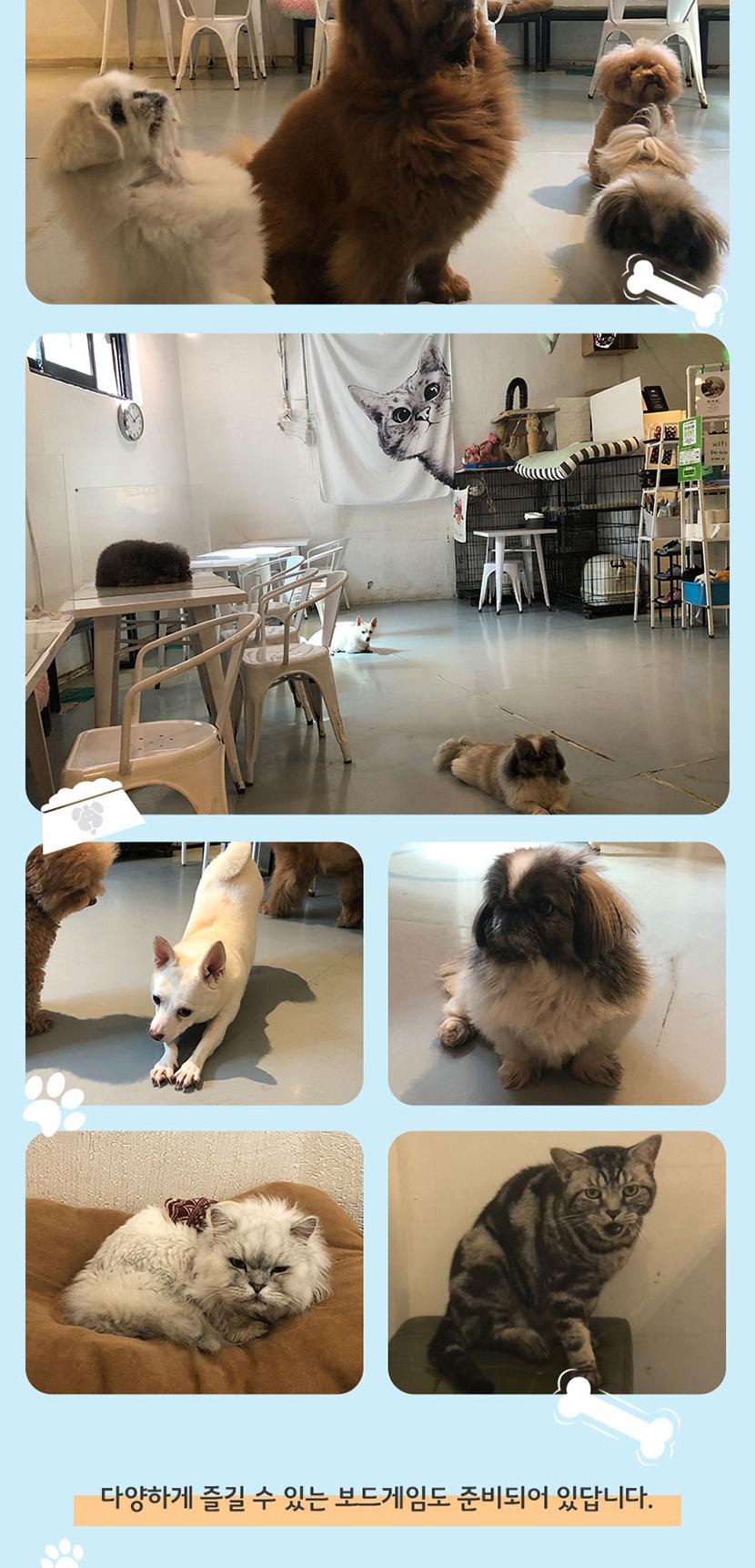 상품 상세 이미지 4