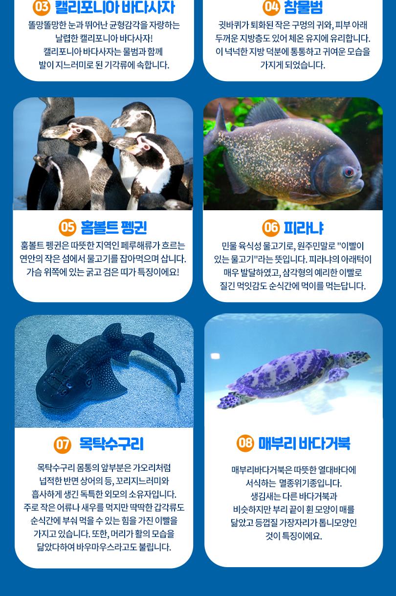 상품 상세 이미지 10