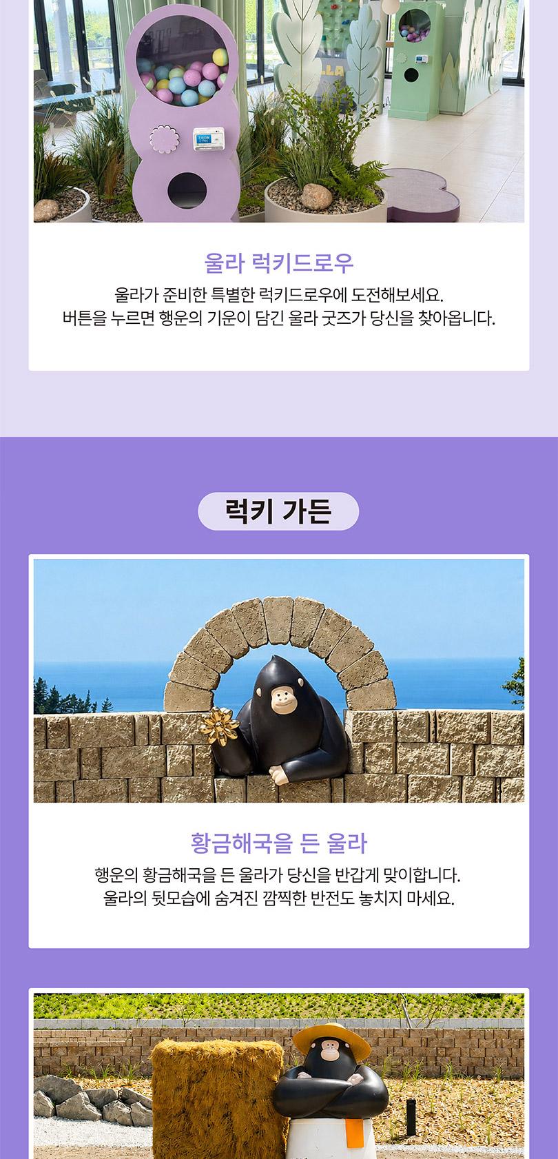 상품 상세 이미지 5