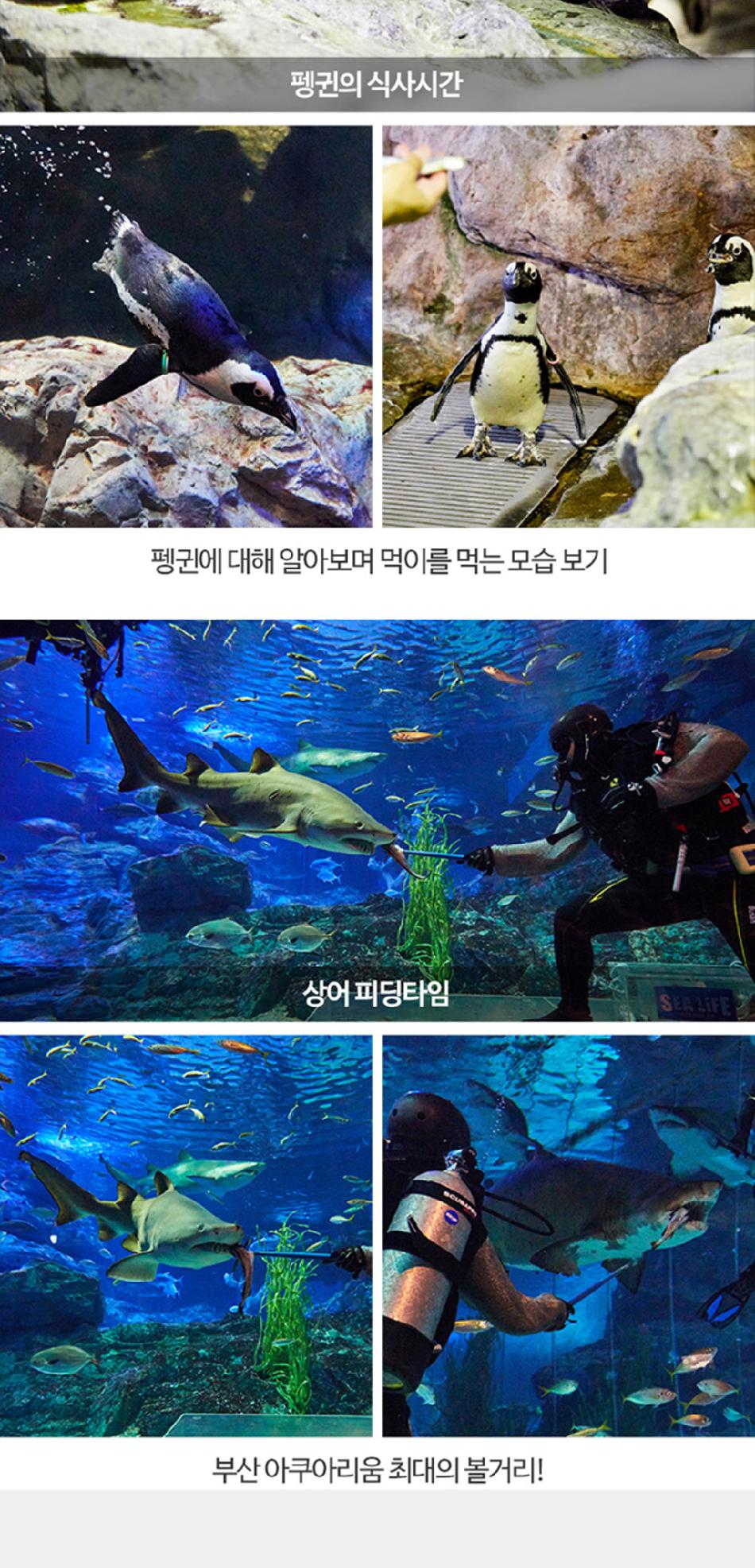 상품 상세 이미지 21
