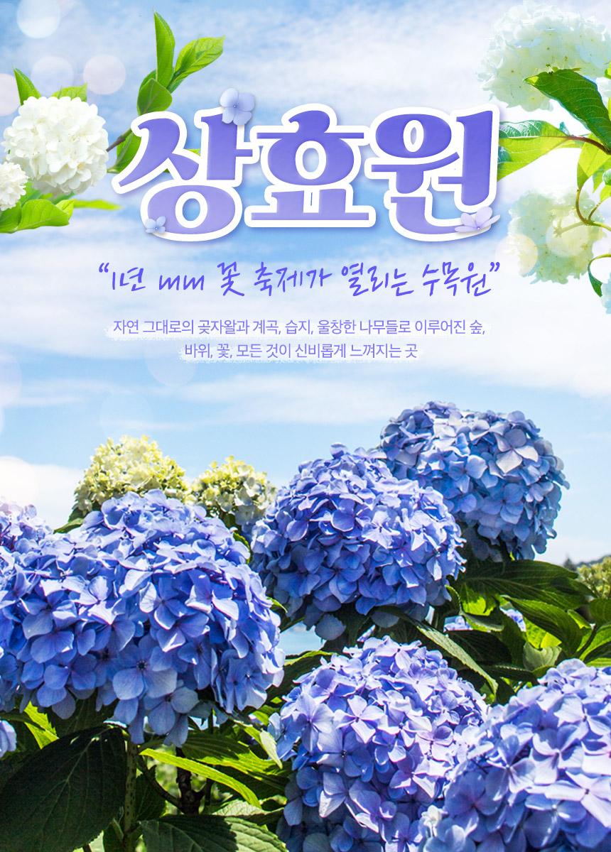 상품 상세 이미지 4