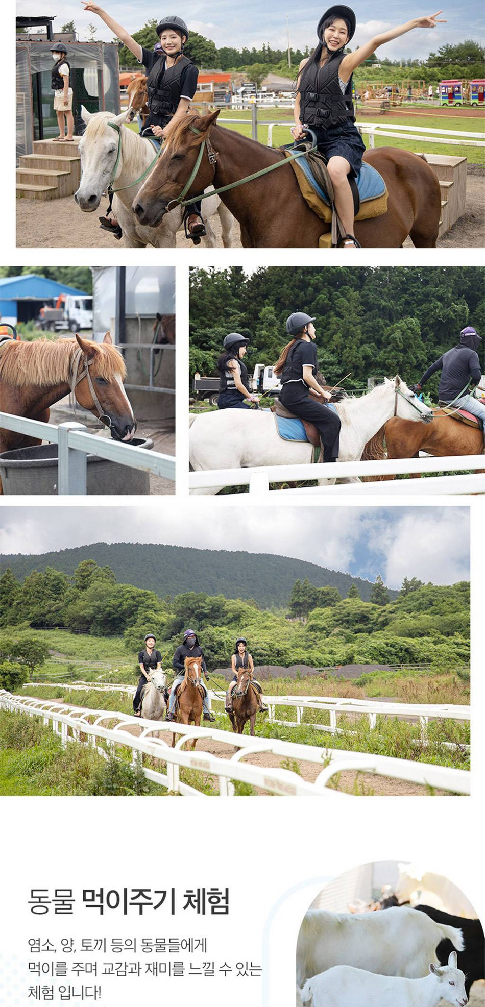 상품 상세 이미지 18