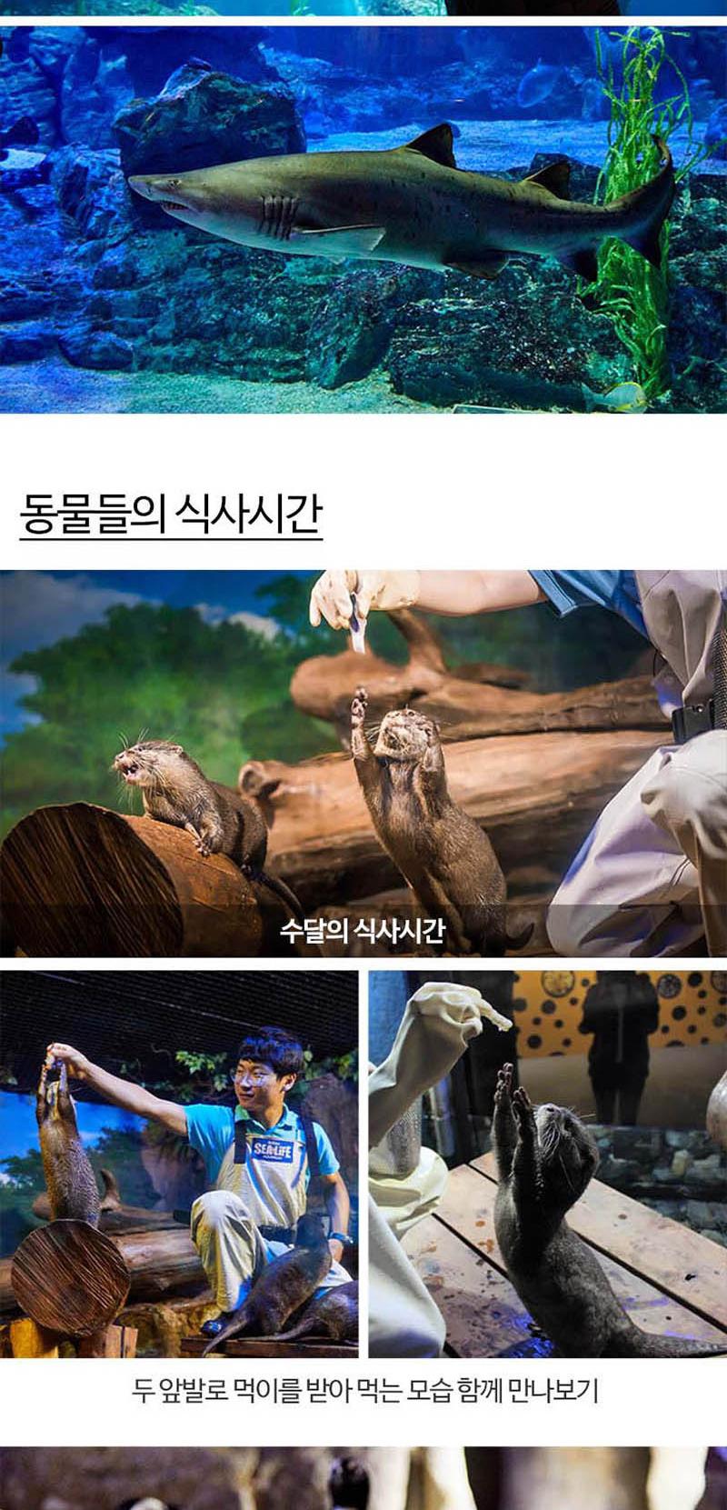 상품 상세 이미지 13