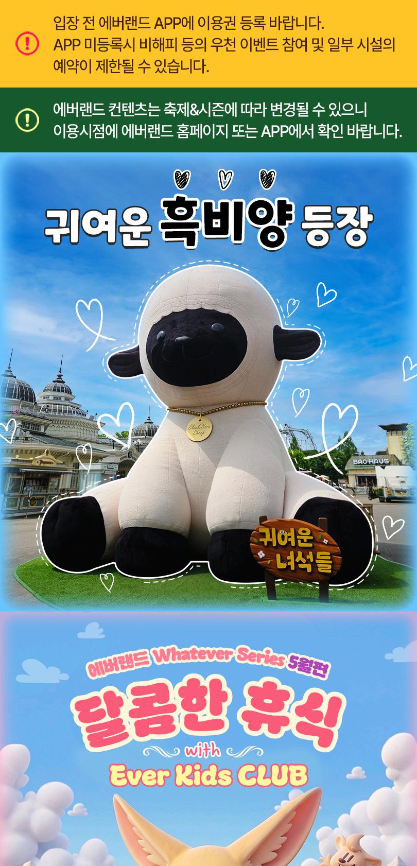 상품 상세 이미지 5