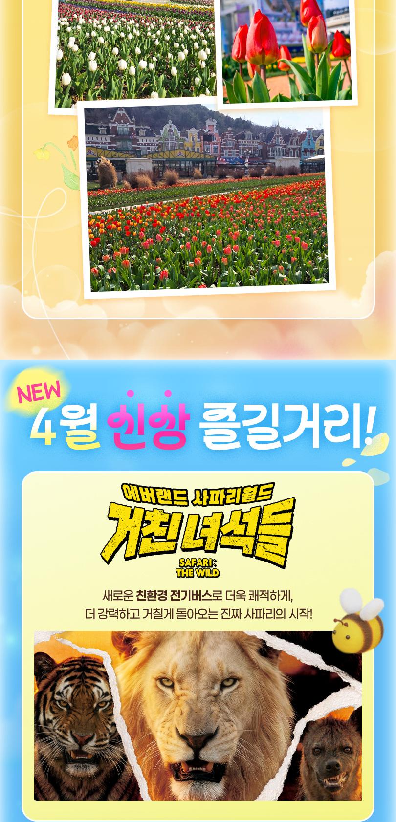 상품 상세 이미지 4