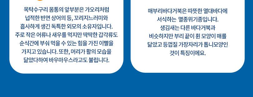 상품 상세 이미지 10