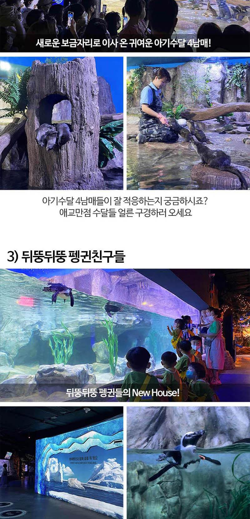상품 상세 이미지 11