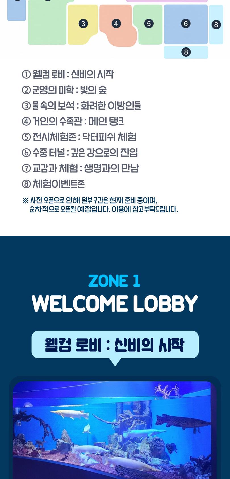 시흥 거북섬 더베이54 아쿠아리움 체험형 관상어 테마파크