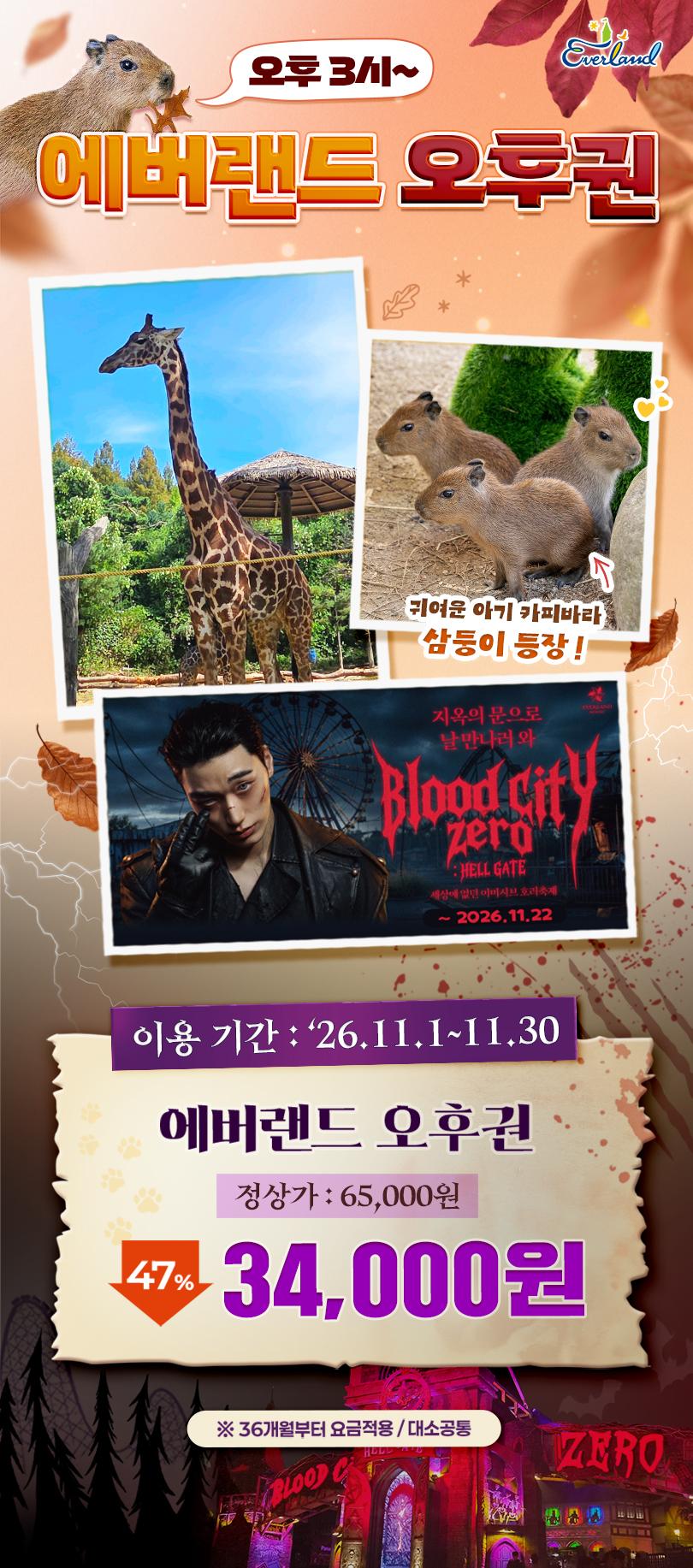 ★특가★ 에버랜드 오후이용권