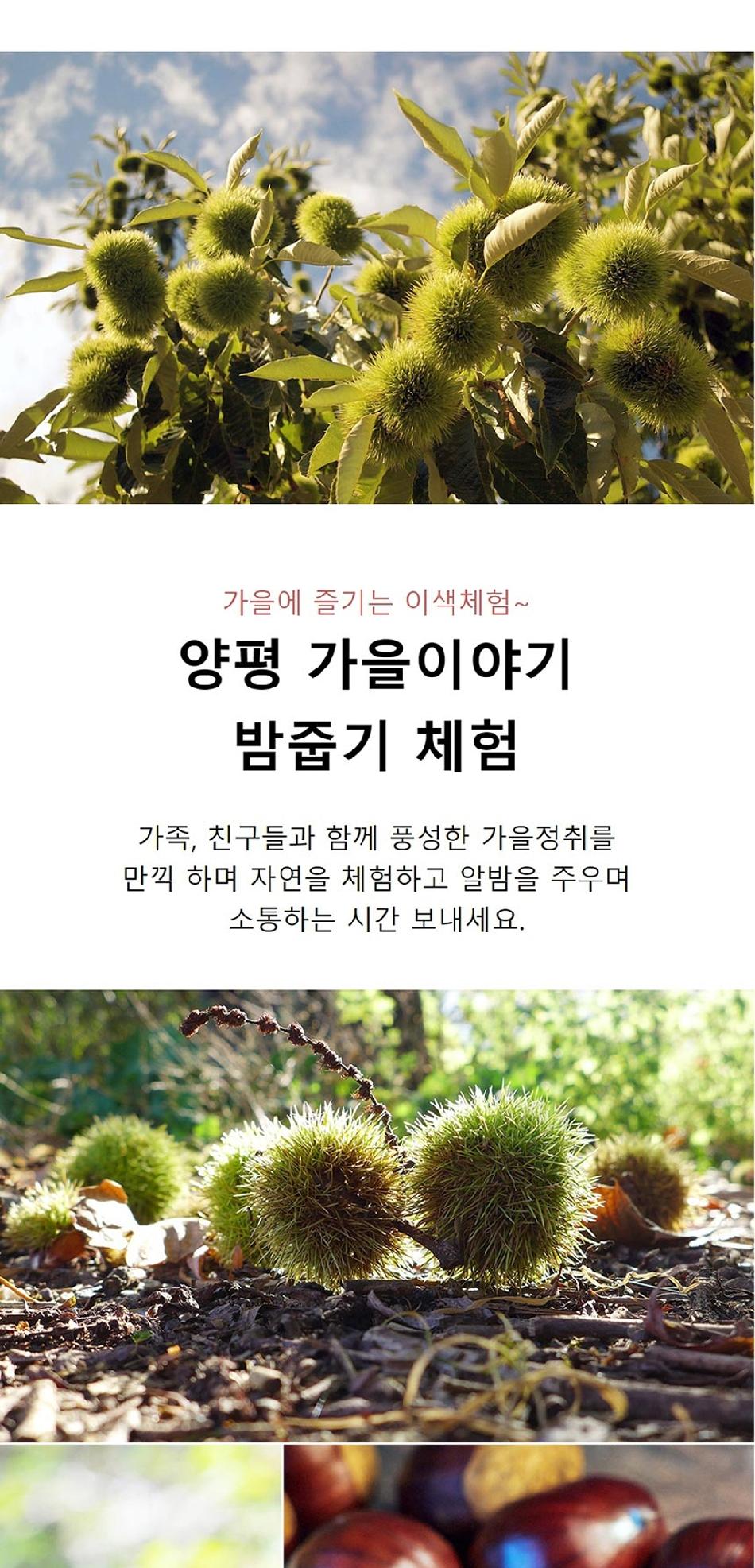 상품 상세 이미지 2