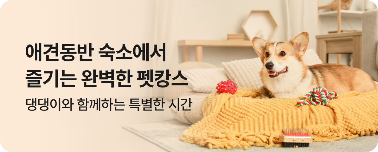애견동반 숙소