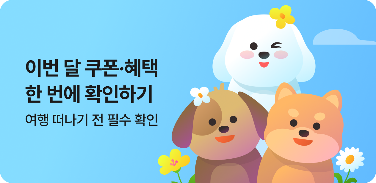 NOL 쿠폰·혜택 모아보기