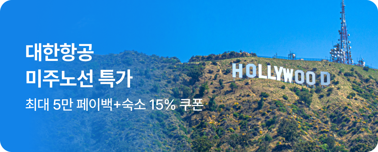 대한항공 미주 특가