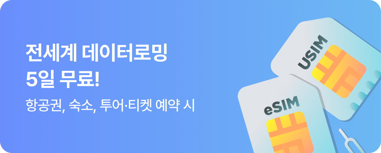 전세계 데이터로밍 5일 무료!
