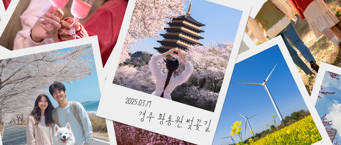 국내숙박 쿠폰팩