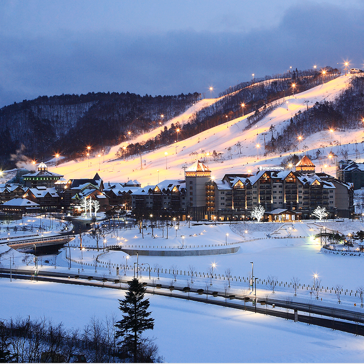 평창 알펜시아리조트 25/26시즌 시즌권 (전일 시즌 대인권+미취학 자녀 1인 무료)