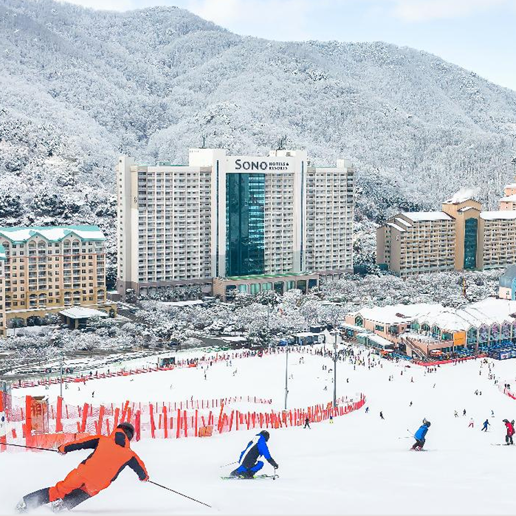 NOL드로우 상품 이미지